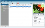 Any Video Converter Free 6.2.1