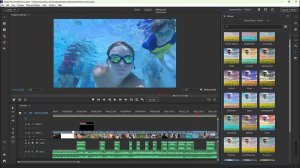 Adobe Premiere Elements