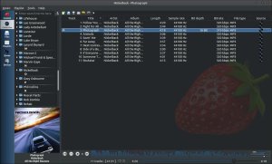 Strawberry Music Player